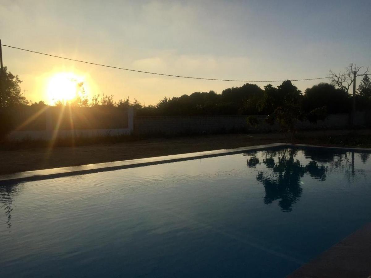 Hotel The Farm Tiny House - Tiny Casa Chiclana de la Frontera Exterior foto