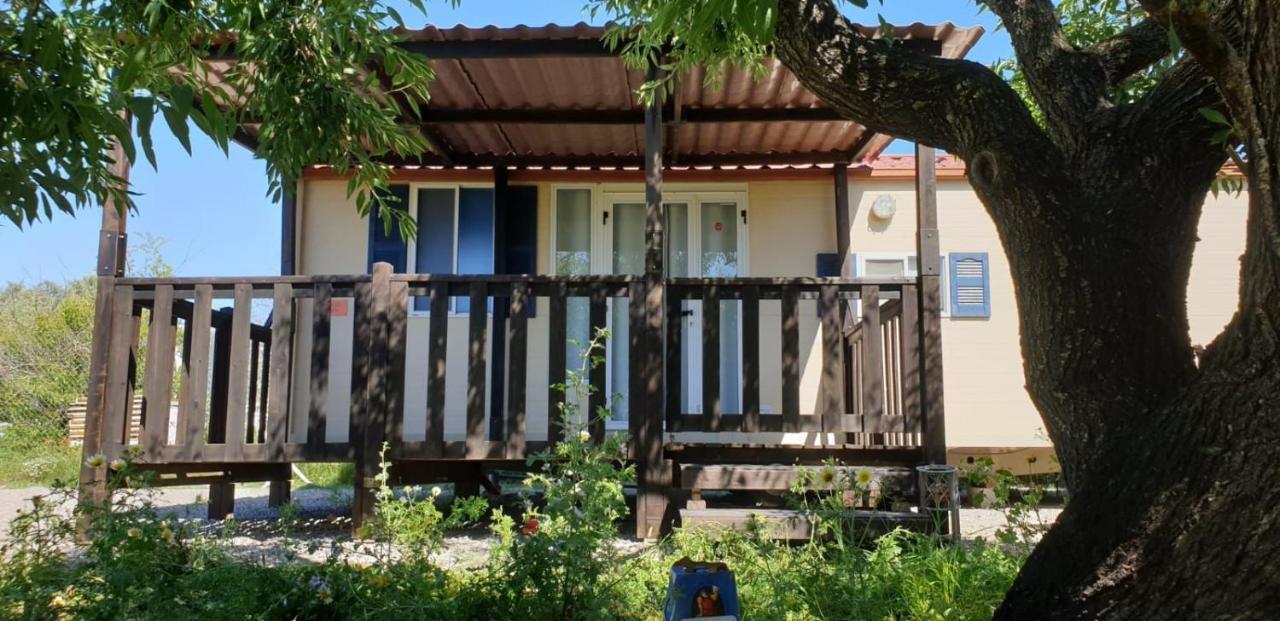 Hotel The Farm Tiny House - Tiny Casa Chiclana de la Frontera Exterior foto