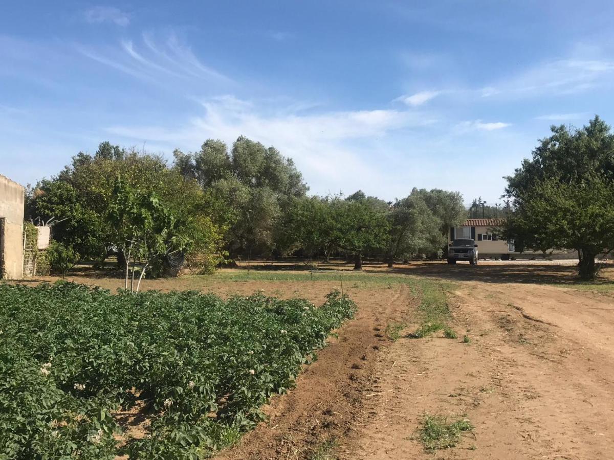 Hotel The Farm Tiny House - Tiny Casa Chiclana de la Frontera Exterior foto
